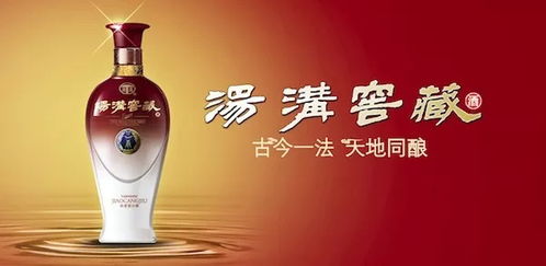 汤沟酒业 人才经 匠心创新 借智引力,保障产品品质
