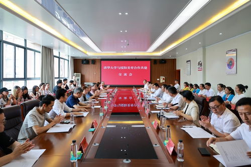 双向 奔赴 绽放绚烂之光