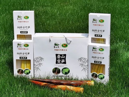 4000万元 遵义一地这些项目获支持