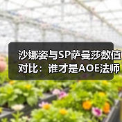 沙娜姿与SP萨曼莎数值对比:谁才是AOE法师真神?(图3) 沙娜姿与SP萨曼莎数值对比:谁才是AOE法师真神?(图3)