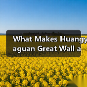影袭怎么培养？技能天赋装备全攻略解析