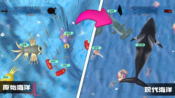 物种进化模拟器免广告版
